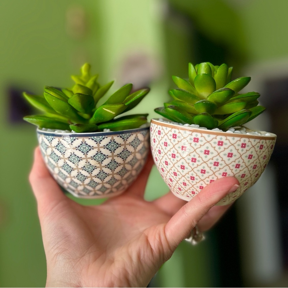 Adorable Mini Potted Faux Succulent Desert Green Plant Decor Accent Set of 2 - Picture 4 of 9